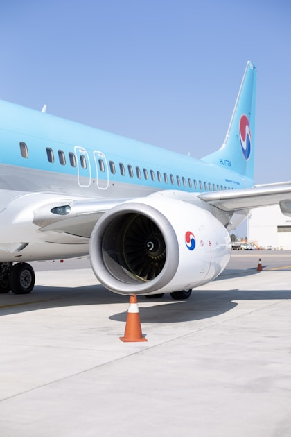 The Comedy of Airline Shutdowns